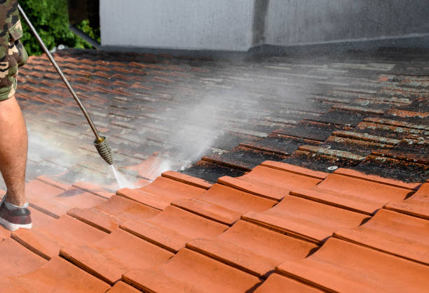 Best Exterior Home Cleaning  in Sangaree, SC